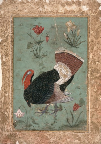 Turquie, Moghol (couleur sur fond vert pâle) - Indian School